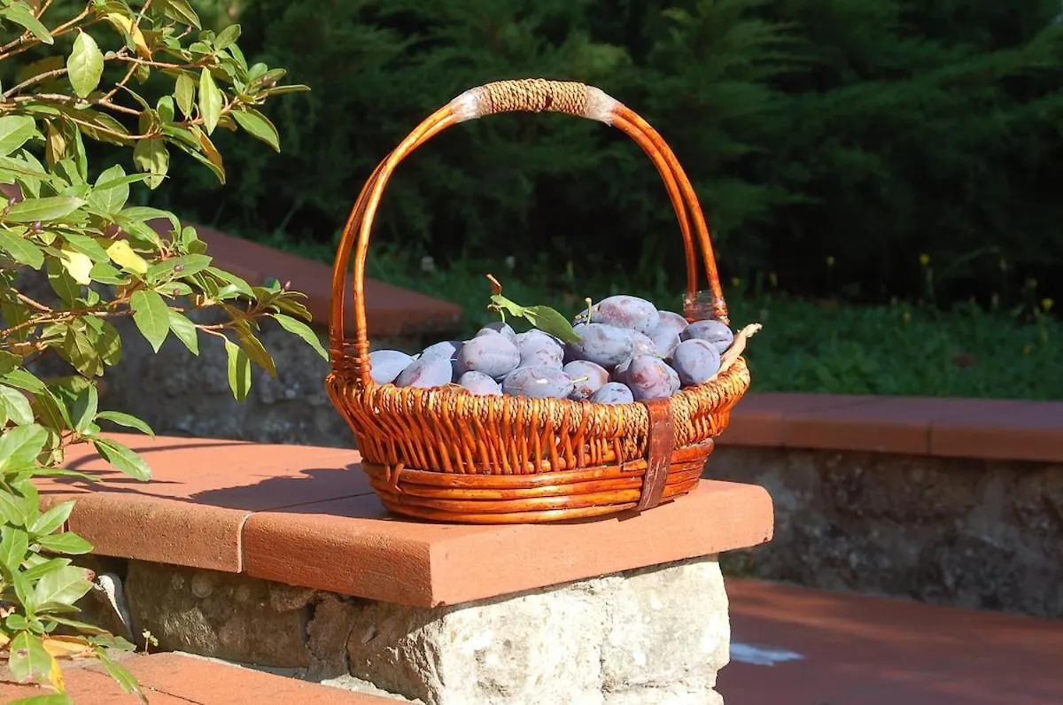 Villa Diana Castelnuovo di Garfagnana 0*,